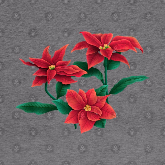 Poinsettia(Christmas flower) by CleanRain3675